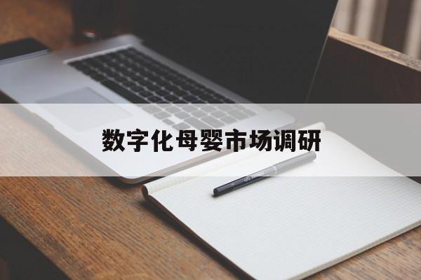 来宾市数字化母婴市场调研(数字化母婴市场调研报告)